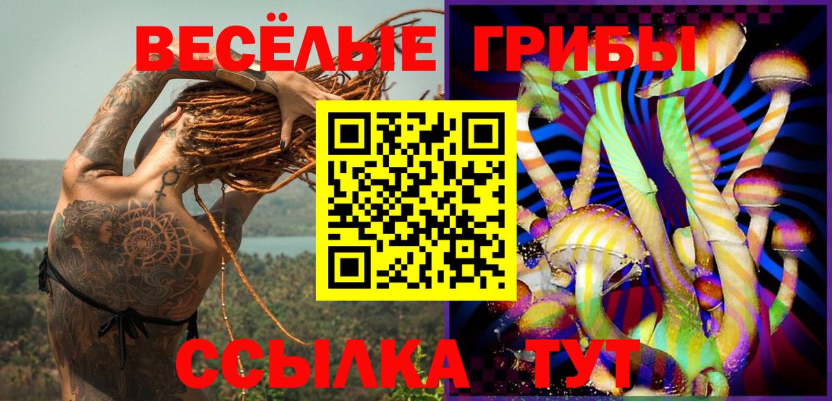 Галлюциногенные грибы прущие грибы  Вход с VPN  Балахна 